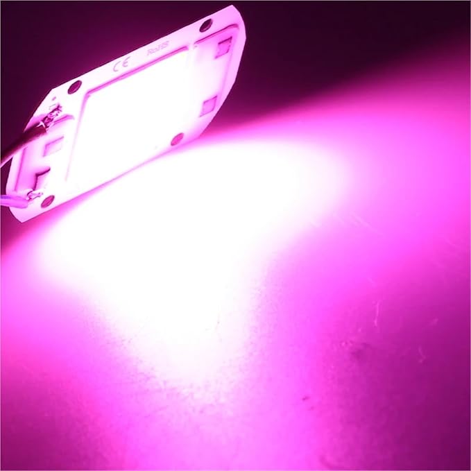 10Pcs/lot LED Chip Diode 110V 220V LED Lamp No Need Driver for Flood Light Spotlight LED Full Spectrum Plant Growth Lamp chip(Grow Light220V_20W)