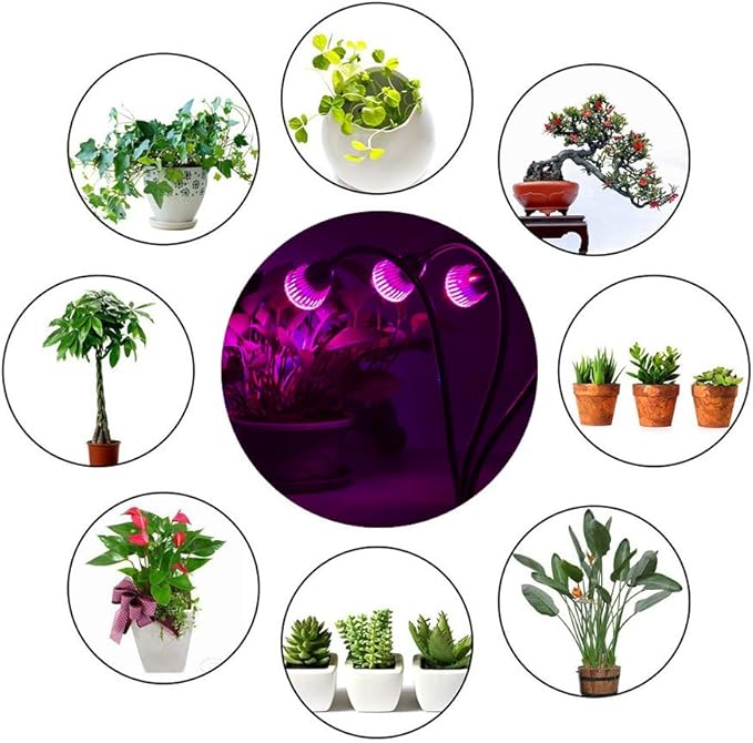 CFGROW Small Led Grow Light Desk Clip LED Plant Grow Lamp 21W with 3pcs 360° Flexible Goosenecks for Indoor Office Home Garden Greenhouse Table Plants Growing Lighting