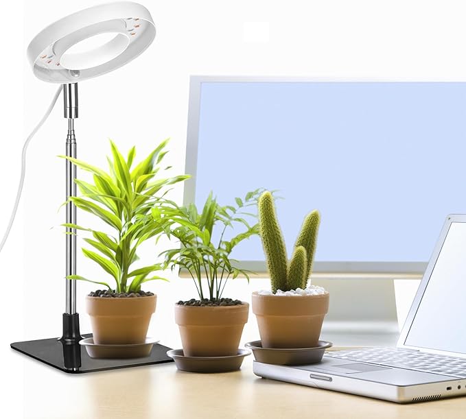 QWORK Grow Lights for Indoor Plants 3 Pack Full Spectrum LED Desk Grow Lamp 7-25 in Adjustable Height Auto Timer 2/4/8H 4 Dimmable Levels USB Powered