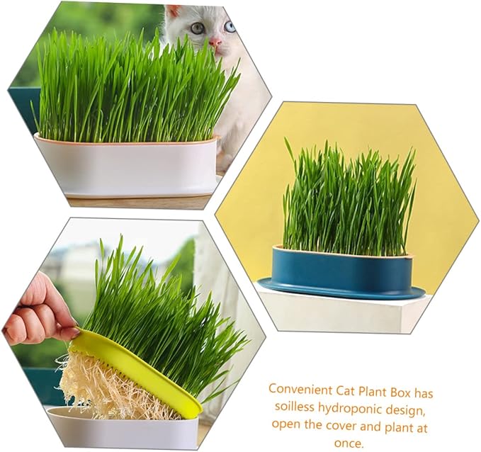 VICASKY 4Pcs Hydroponic Catnip Planter Box Set Soilless Cat Grass Growing Kit Detachable Tray for Indoor Cats Creative Design