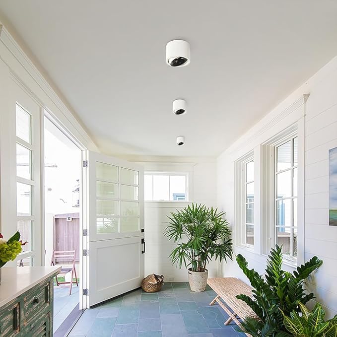 Spotlight 2.9 Cylinder Spotlight Adjustable Semi Flush Mount Spotlights Exposed Mounted Focus Accent Lamps