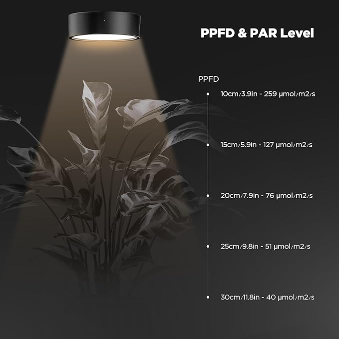 ONF Mist O Desktop Planted Lighting LED Light for Indoor Plants Brightness Dimmable Full Spectrum Grow Light Room Decoration Terrarium Light for Potted Plant and Succulent Matt Black
