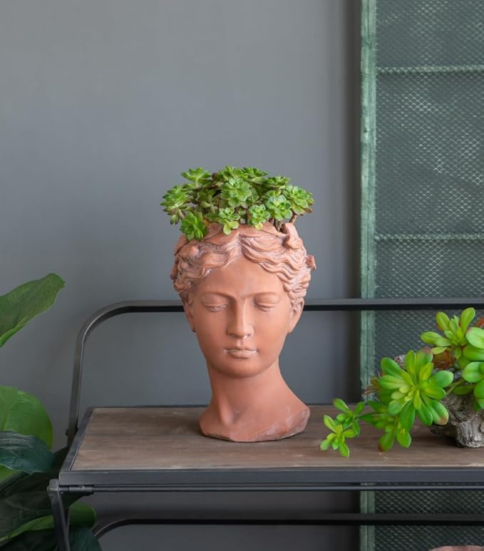 D7x11 Visage Head Bust Planter Brown