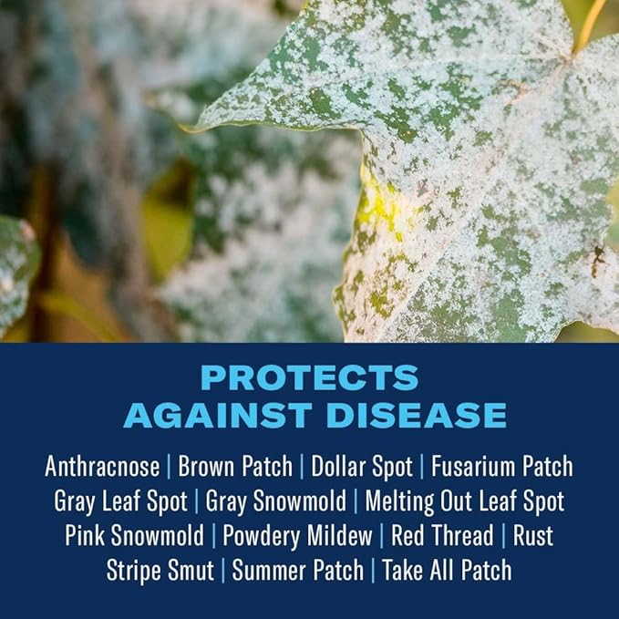 BioAdvanced Fungus Control for Lawns Granules 10 lb