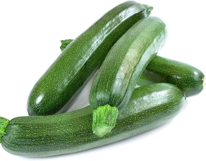 2 Live Squash Plants 5 to 7 Inch Tall Green Squash Plants Live in 4 Inch Pot Green Squash Zucchini Plants Seedlings