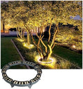 IP65 Waterproof LED Tree Surrounding Lights - 5PCS A-RGB Ring Spotlights 60W Outdoor Garden Pillar Lamps for Courtyards and Landscapes AC220V