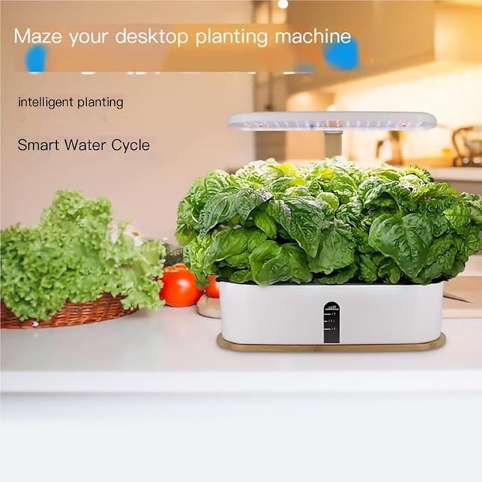 Grow Mini Desktop LED Grow Light Hydroponic Planter - Home Soil-Free Indoor Vegetable/Strawberry Growing System