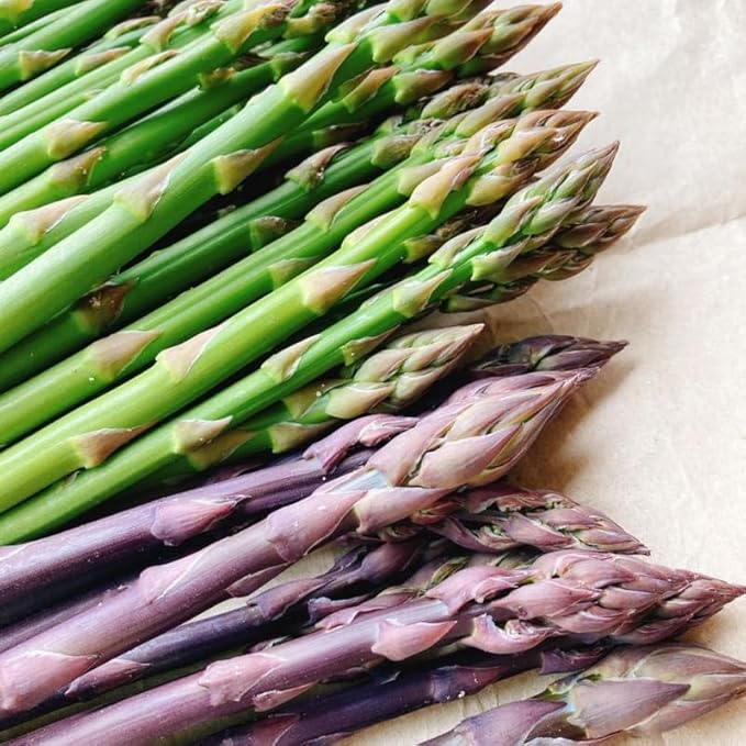 20 Mix Asparagus Roots - Bare Root Asparagus Crowns for Planting Perennial Vegetable Plants for Outdoor Garden