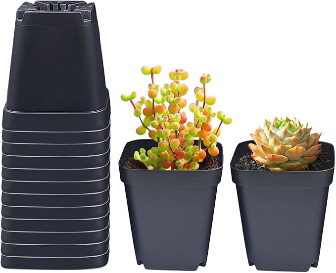 Square Nursery Pots 3.54Inches 90 Pcs Seedling Flower Post Plastic Thick Seed Start Germination for Plant PropagationSturdy Suit for 1020 Trays(Black3.54Inches90Pcs)