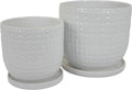 10 8 Inch Indoor Planter Set of 2 White Dot and Dash Pattern