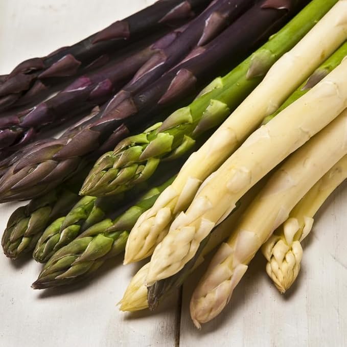 20 Mix Asparagus Roots - Bare Root Asparagus Crowns for Planting Perennial Vegetable Plants for Outdoor Garden