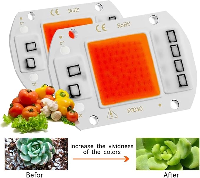 10Pcs/lot LED Chip Diode 110V 220V LED Lamp No Need Driver for Flood Light Spotlight LED Full Spectrum Plant Growth Lamp chip(Warm White110V_10W)