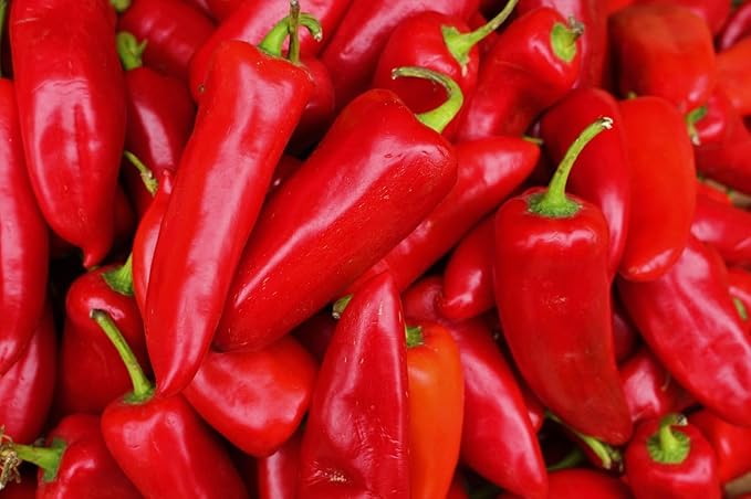 Hot Pepper Chili Pepper Seeds Collection (6 Types) Bird's Eyes Cayenne Fresno Jalapeno Habanero Serrano Red Hot Organic Heirloom Non GMO Seed for Planting (100)