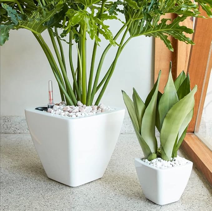 2 Pack Smart Self Watering Planter Pot for Indoor and Outdoor White Square Cone