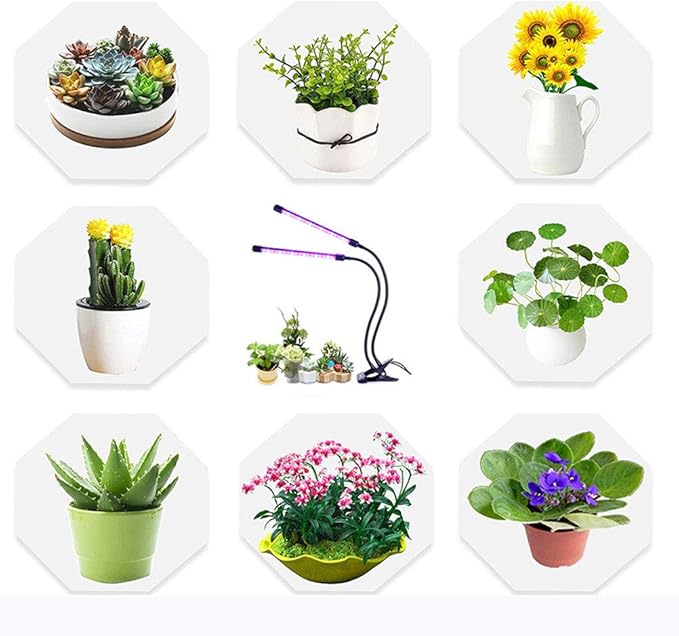 Timer Dual Head LED Plant Grow Light 10W 30LED 9 Dimmable Levels Grow Lamp Bulbs with Adjustable 360 Degree Gooseneck for Indoor Plants Hydroponics Greenhouse Garden Home Office