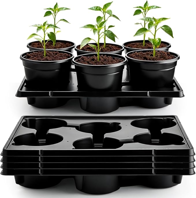 6 Inch Plastic Plant Pots 30 Pack and 6 Cell Nursery Pots Trays 5 Pack Sturdy Seeds Starting Germination Shuttle Carrying Trays Black Nursery Planting Propagation 5 Sets