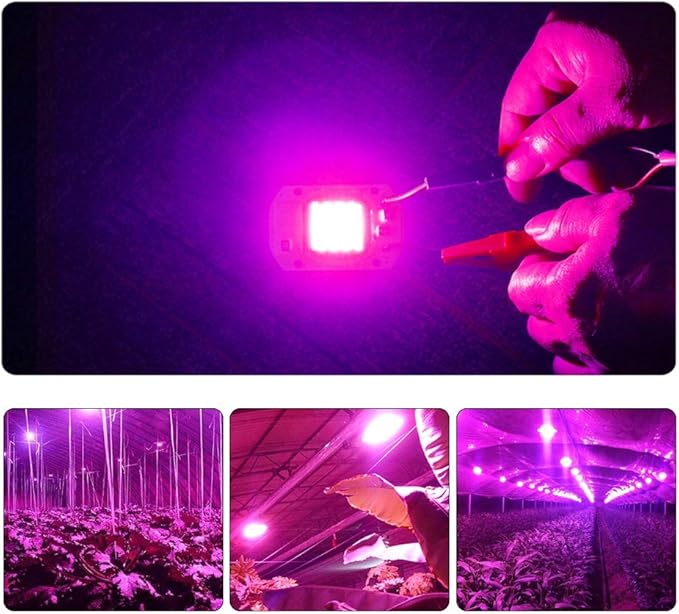 Fengyan Home Bulbs COB LED Growing Lamps Full Spectrum LED phytolamp 20W 30W 50W 100-240V LED Diode Array for Plants Hydroponics Greenhouse Household Lamp
