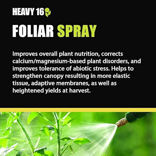 Bud A B &amp Foliar Spray 32OZ (1L) KIT