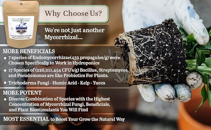 GreenEden EndoBoost Hydro Soluble Mycorrhizal Fungi (7 Species) - Makes 120 Gallons - Mycorrhizae Root Enhancer - Bacteria Inoculant - Hydroponics or Soil