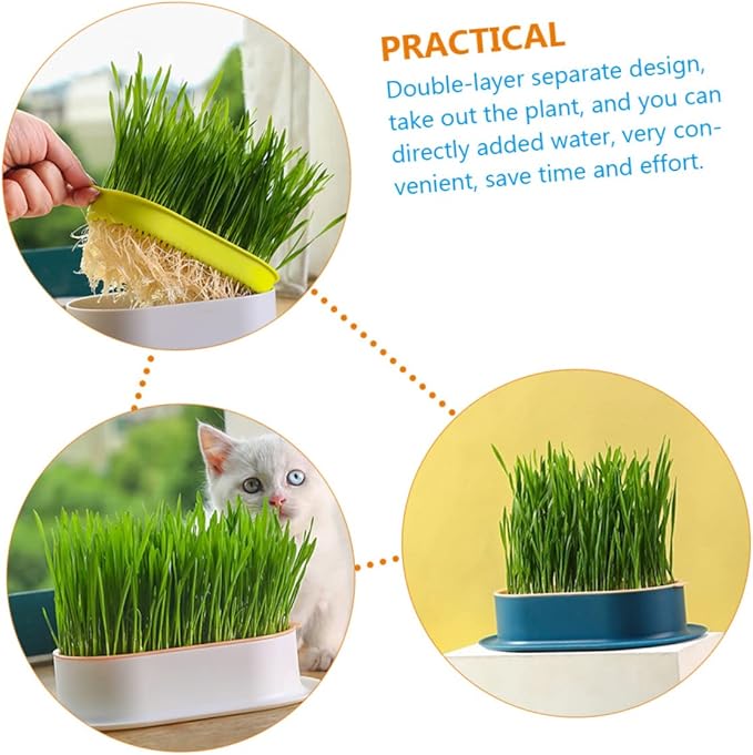 VICASKY 4Pcs Hydroponic Catnip Planter Box Set Soilless Cat Grass Growing Kit Detachable Tray for Indoor Cats Creative Design