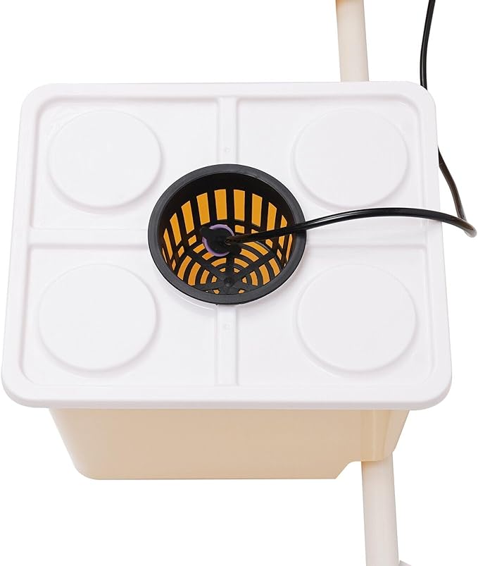 Deep Water Culture Hydroponic System Grow Kit W/Submerged Pump 11L 5 Box