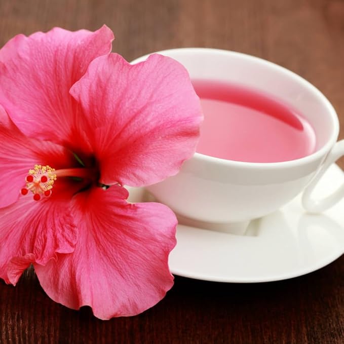 Pink Hibiscus. rosa-sinensis. Live Plant - Tropical Blooming Hibiscus Pretty Flowers Used in Tea and Juice (2 Pink Hibiscus Cups)