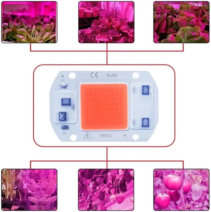 1pcs LED Lamp Chip COB Chip No Need Driver 20W 30W 50W LED Lamp Beads for Light Spotlight Full Spectrum DIY Flower Lighting(30W-220V)