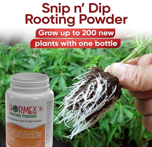 Hormex Rooting Powder #3 Rooting Cubes &amp Shears Combo - Rooting Hormone for Common Houseplant Cuttings | Root Starter Cubes for Home &amp Garden Plants | Precision Straight-Blade Shears (50 Grow