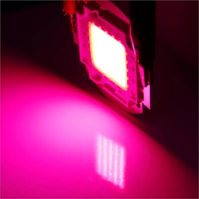 5pcs LED cob Full sepctrum 10W/20W/30W/50W/100W Plant Grow chip High Power Bead Lamp Module floodlight 400-840nm(100W)