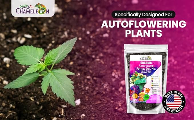 Organic Autoflower Potting Soil Mix – Ready-to-Use Living Soil No Fertilizers Needed – Balanced Nutrients Light Texture Excellent Drainage Boosts Germination &amp Root Growth (3 quarts)