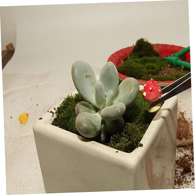 Mikikit 21pcs Planting Tools Set for Succulents Miniature Garden Hand Tools Set Seed Dispenser Watering Pot