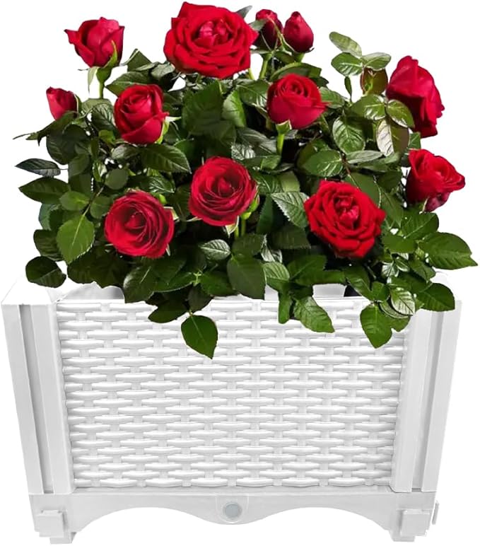 Trenton Gifts Raised Planter Box. White. Great for Plants &amp Flowers