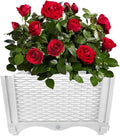 Trenton Gifts Raised Planter Box. White. Great for Plants &amp Flowers