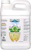 SLF 100 Pure Enzyme Solution Gallon