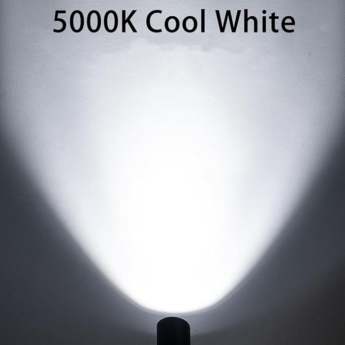 EAGLOD 30W Spot Lights Outdoor 120V Dusk to Dawn5000K Cool White LED Spotlight Plug in with Photocell Sensor Bright Flag Pole Light for Yard Tree Garden Landscape Lighting with 6FT Cord (2)