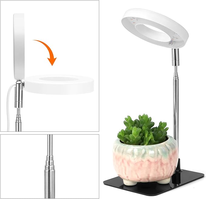 QWORK Grow Lights for Indoor Plants 3 Pack Full Spectrum LED Desk Grow Lamp 7-25 in Adjustable Height Auto Timer 2/4/8H 4 Dimmable Levels USB Powered