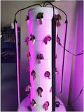 Hydroponic Equipment Fill Flexible Clip Lamp 4 Pcs LED Growth Light for Tower Hydroponics System Herb Vegetable Fruit Flower Planting Indoor Garden