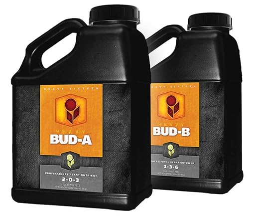Bud B Gallon (4L)