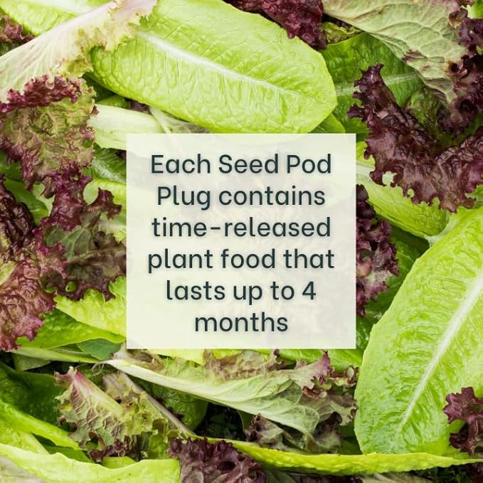 Gardeners' Choice Products Heirloom Cutting Mix Lettuce - Complete Seed Pod Plugs with Plant Food - 10 Pods for Hydroponic Gardens Click and Grow Lettuce Grow and Outdoor Gardens