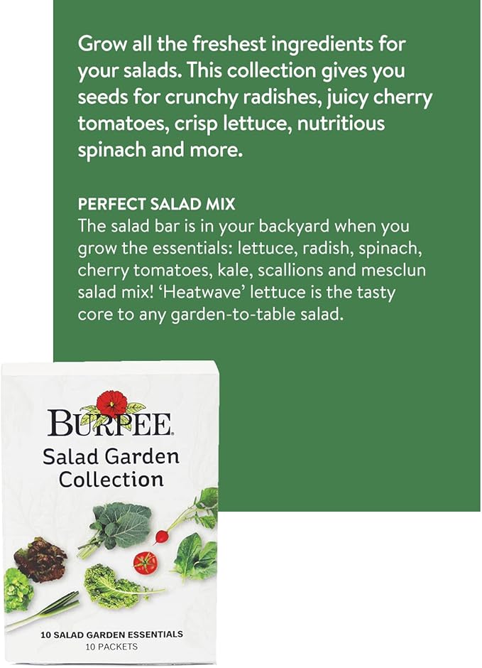 Burpee Salad Garden Collection 10 Packets of Non-GMO 4 Lettuce Varieties Tomato Radish Spinach Kale Scallions &amp Mesclun Mix | Seeds for Planting Vegetables