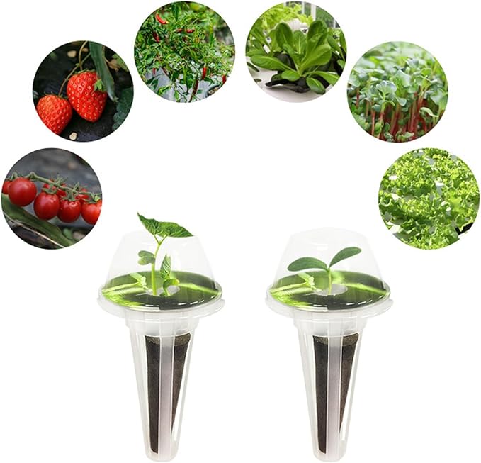 Hydroponic Plant Food Set Hydroponic Pods Kit Indoor Hydroponics Grow Anything Kit for Strawberries Basil Broccoli and More