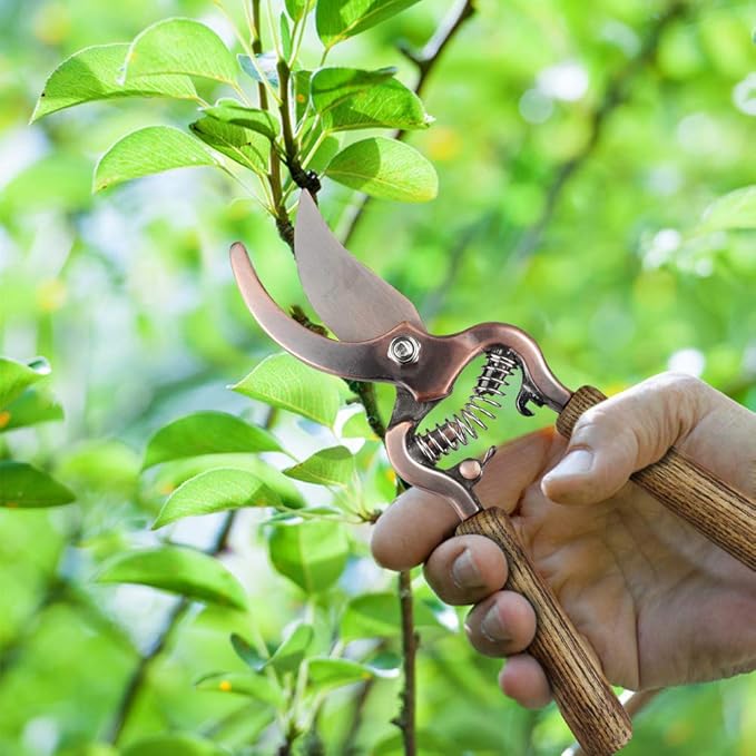 1 Gallon Galvanized Steel Watering Can with 3 Pcs of Garden Tools 1 Pc of Pruning Shear 1 Pair of Gardening Gloves1 Pc of Garden Tools Organizer Tote