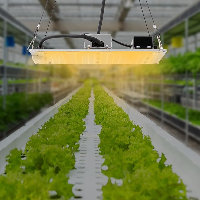 LED Grow Light 110W Full Spectrum LM301B Diodes and Driver Hanging Indoor Grow Lamp for Plants Veg to Flower Bloom Dimmable &amp Daisy Chain 2x2 3x3 Grow Tent