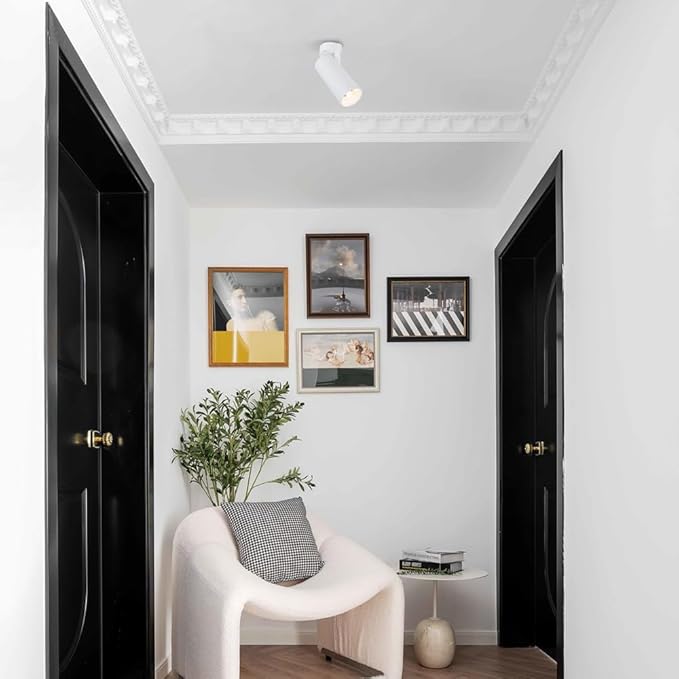 Spotlight Led Flush Mount Spotlamp Directio l Downlight Indoor Spotlights for Living Room Gallery Picture Panting Accent Lighting