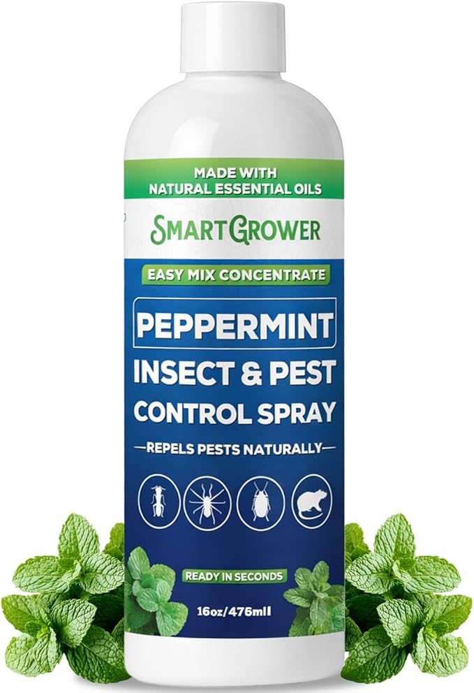 Peppermint Insect &amp Pest Control Best Value Concentrate - Repels Insects &amp Pests for Home Indoor Outdoor Garden - Maximum Strength Concentrate (Makes Two Gallons RTU) 16 oz