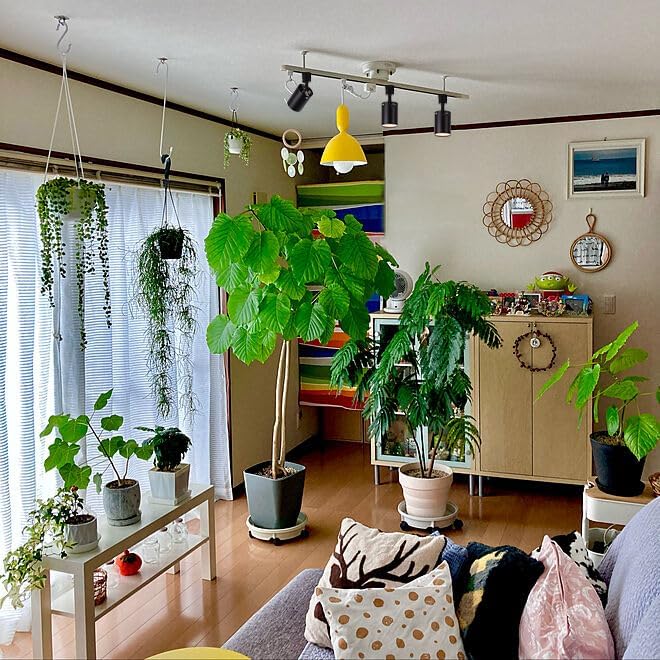 Track Mounted Remote Plant Light Full Spectrum 7W Warm Light Adjusted Angle Industrial Style Black Metal J-Type Track Light for Flowers Growing Indoor Plants Shelf