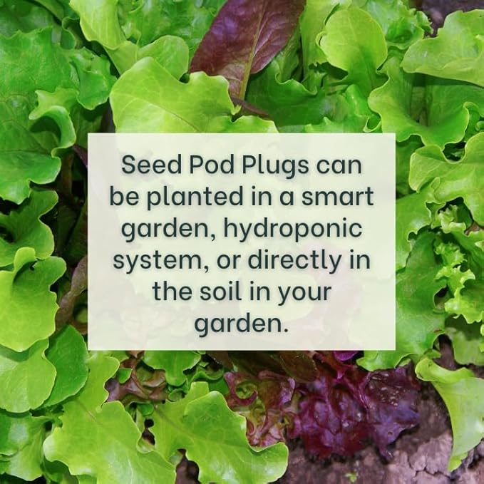 Gardeners' Choice Products Heirloom Cutting Mix Lettuce - Complete Seed Pod Plugs with Plant Food - 10 Pods for Hydroponic Gardens Click and Grow Lettuce Grow and Outdoor Gardens