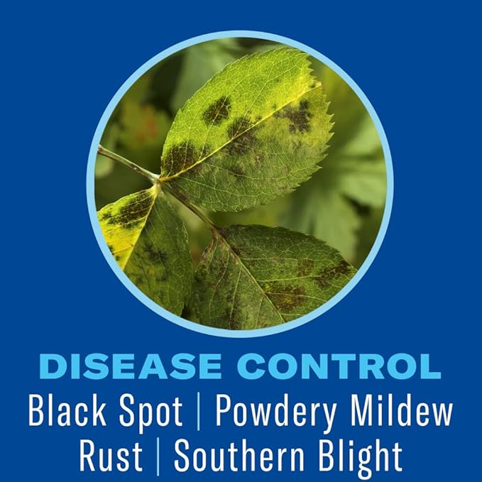 BioAdvanced Shrub Care Protect &amp Feed Granules 4 lb.