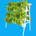 Hydroponics Growing SystemHerb Garden Planter Indoor Aquaponics for Beginners for Herbs Fruits &amp Vegetables GYL24824