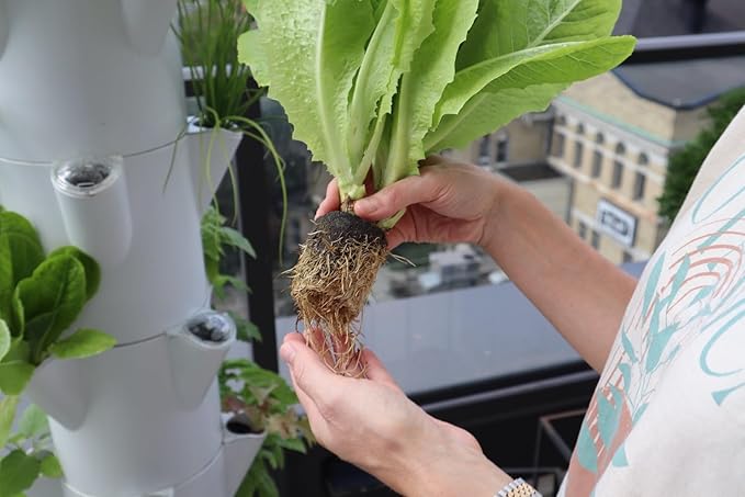 The Stack &amp Sprout Vertical Gardening System - Vertical Urban Gardening for Condo Patios and Balconies